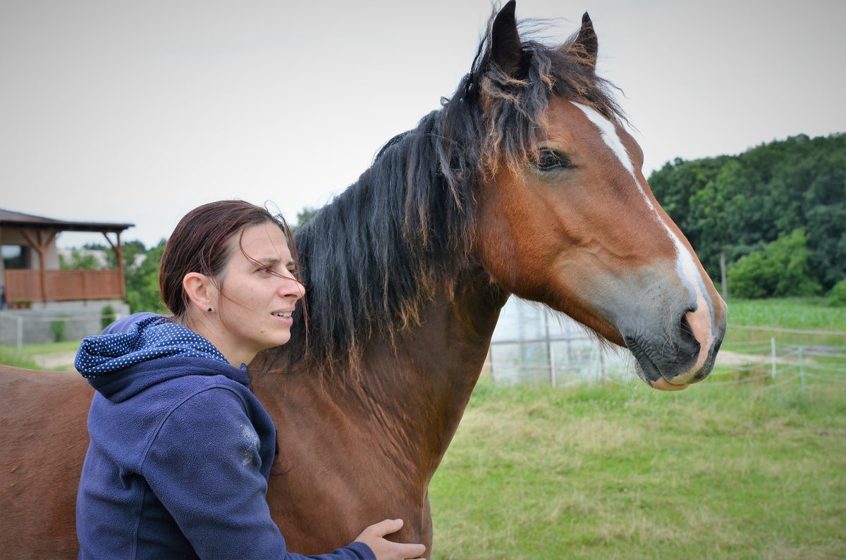 Martina Kašpaříková s koněm