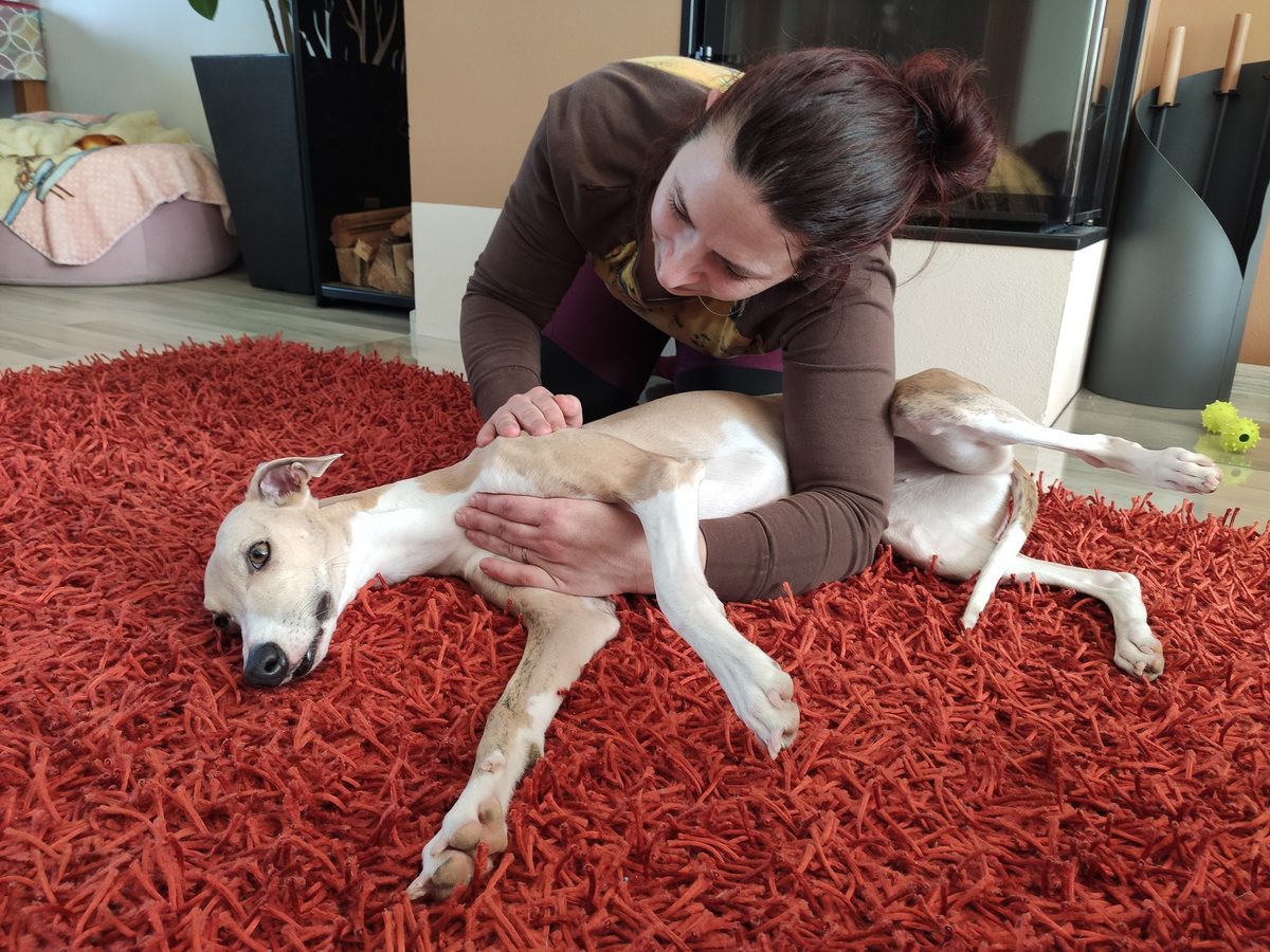 Ošetření pacienta